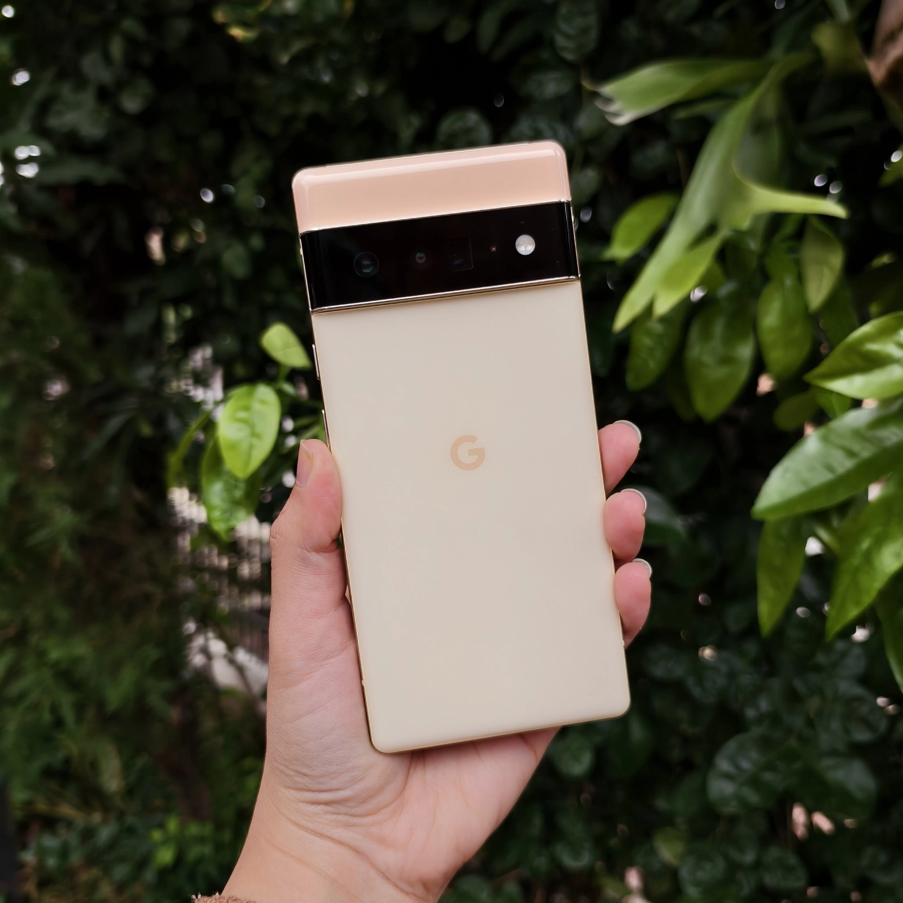 google-pixel-6-pro-256-gb-img